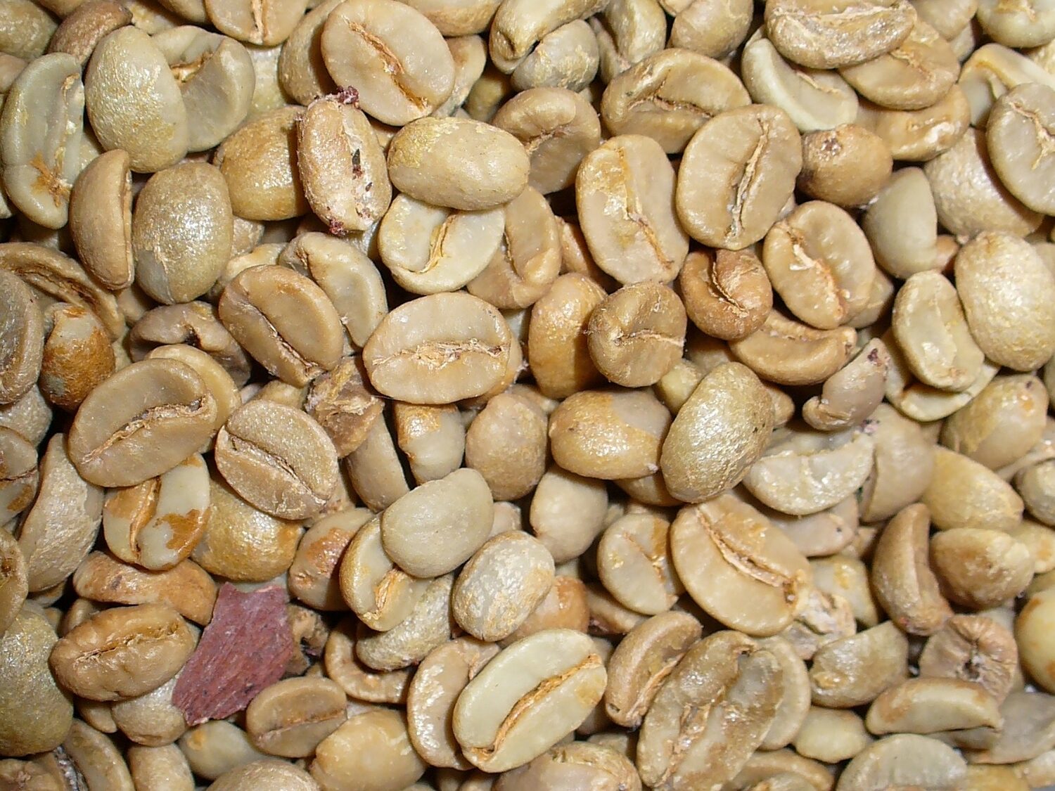 Café vert Arabica — qualité export