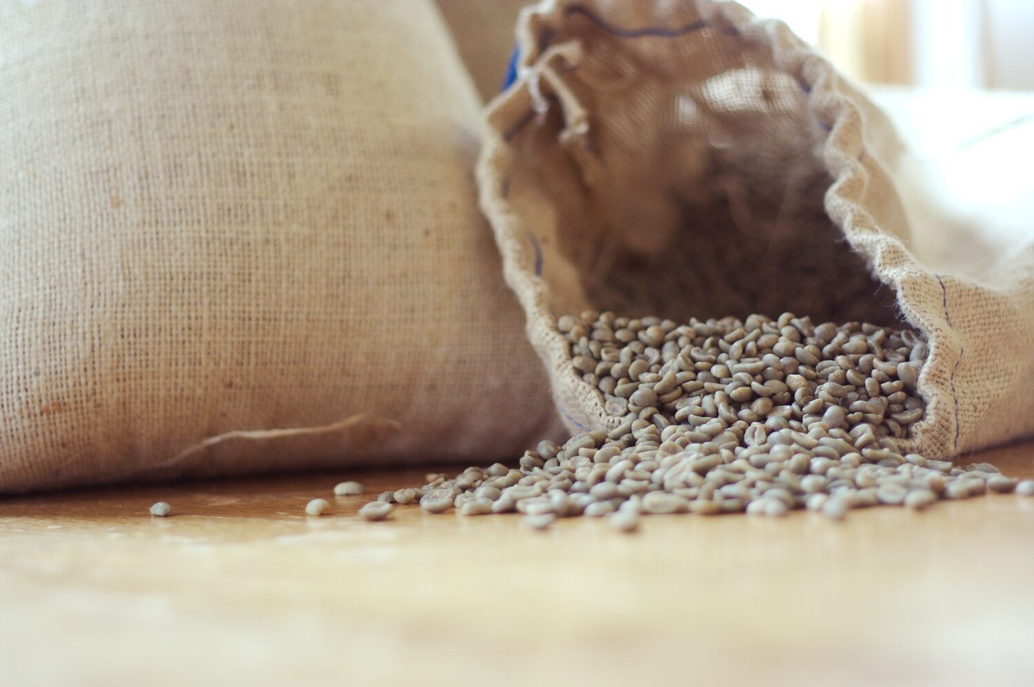 Café vert Robusta — qualité export